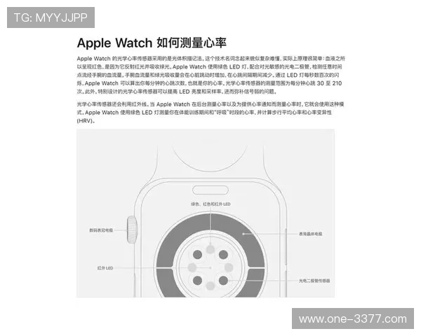 德甲最新赛程分析与精准投注技巧全面指南